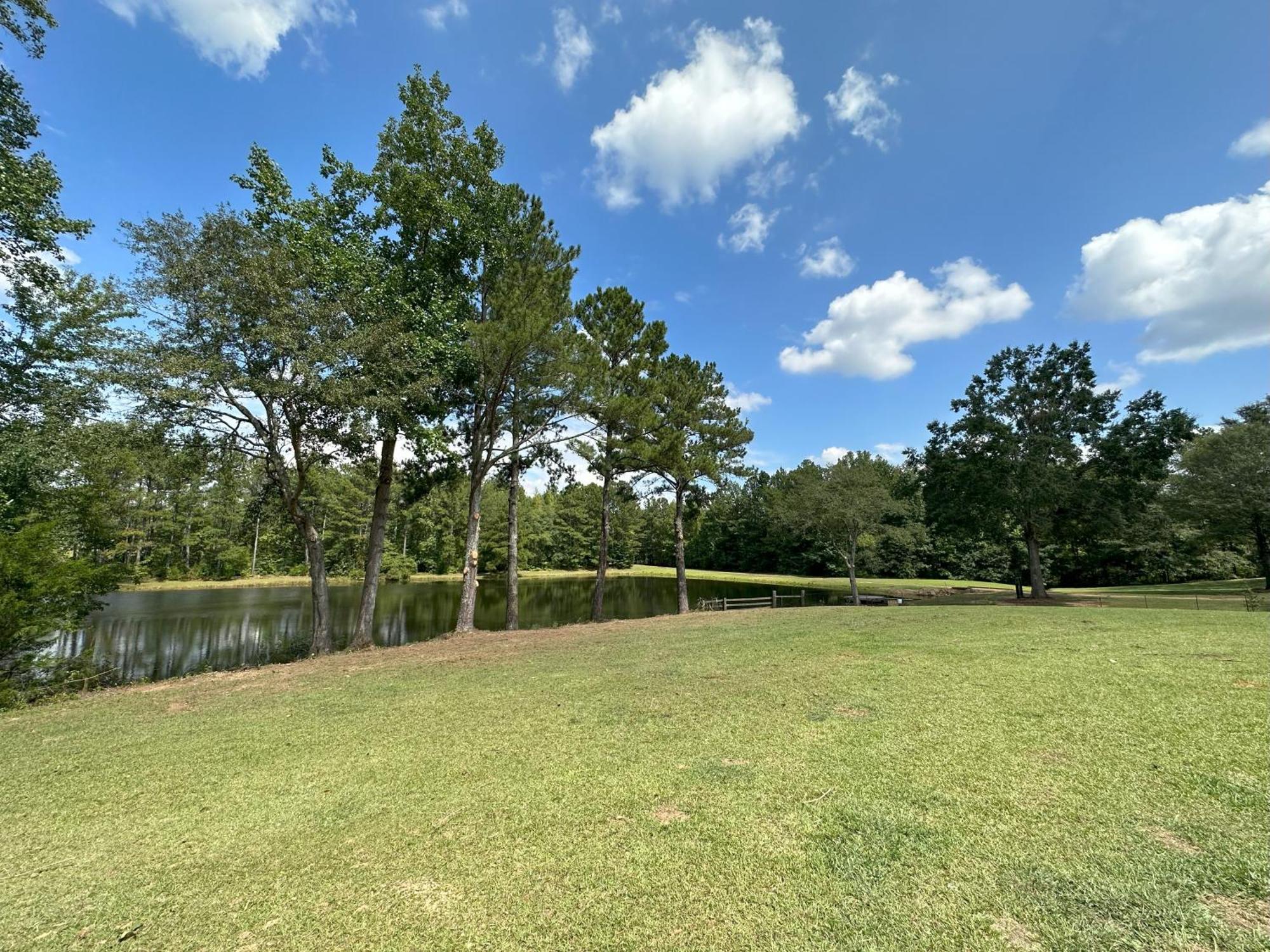 Refuge Ranch Retreat Log Cabin Lake 53+ Acres Locust Grove Exterior foto