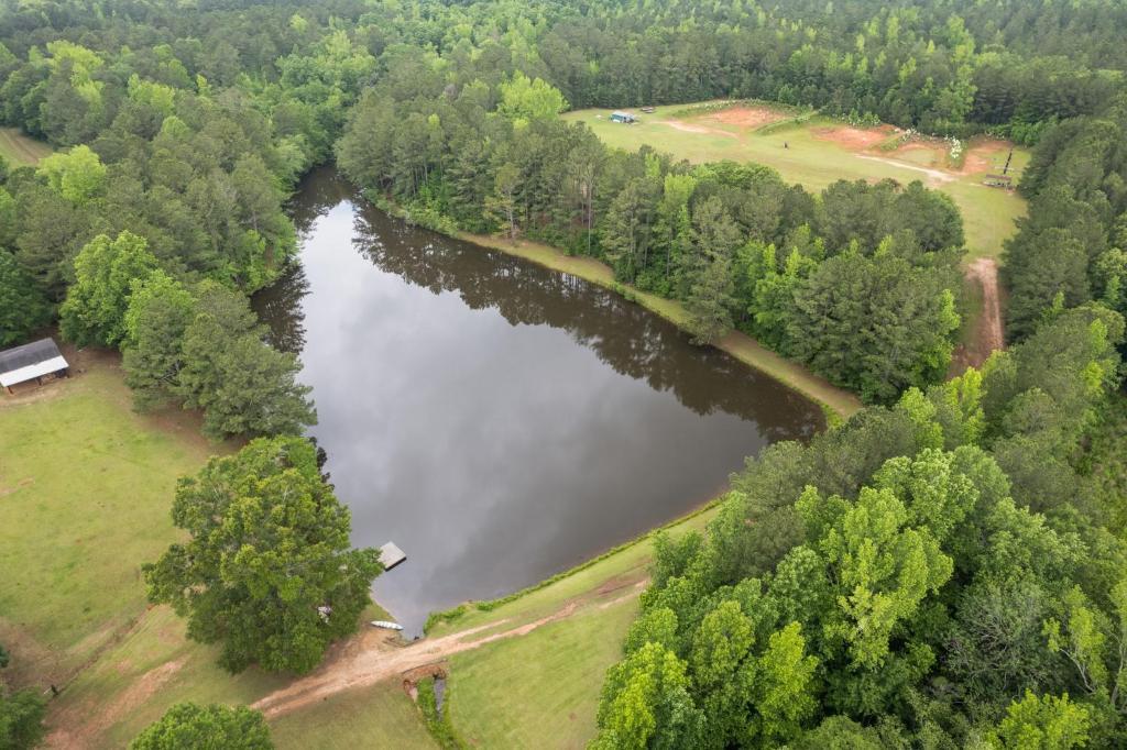 Refuge Ranch Retreat Log Cabin Lake 53+ Acres Locust Grove Exterior foto